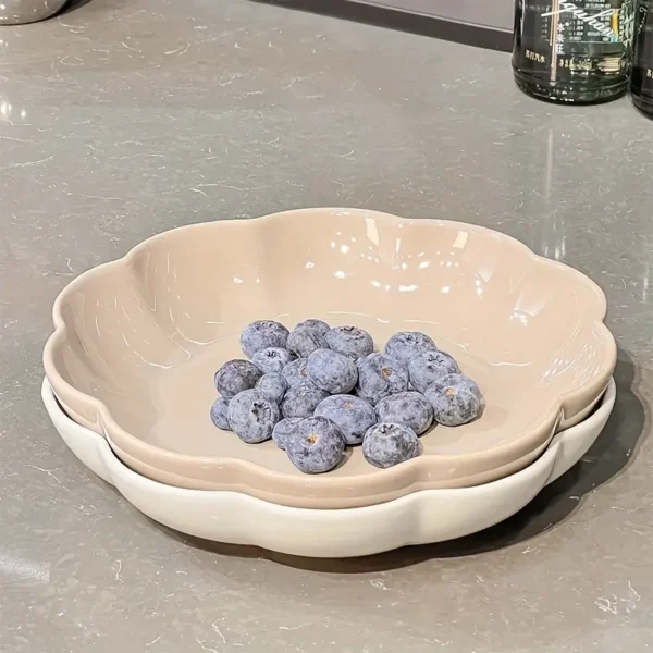 4pcs Ceramic Dinner Plate Set